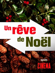 Molotov Channels Cinéma - Un rêve de Noël