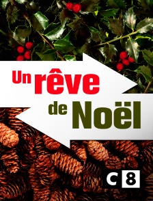 C8 - Un rêve de Noël