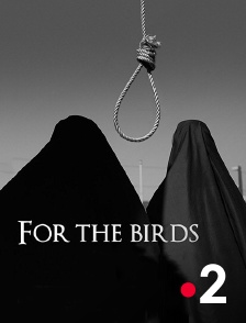 France 2 - For the Birds