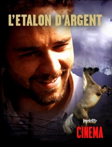 Molotov Channels Cinéma - L'étalon d'argent