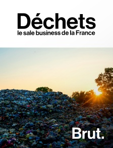 Brut - Déchets : le sale business de la France en replay