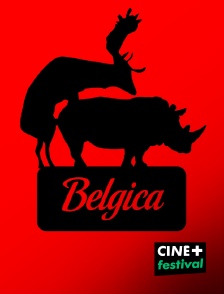 CINE+ Festival - Belgica