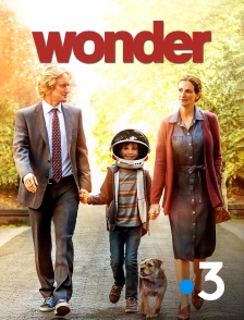 France 3 - Wonder