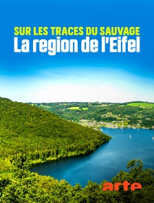 Arte - Sur les traces du sauvage : La région de l'Eifel