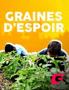 Spicee - Graines d'espoir en replay