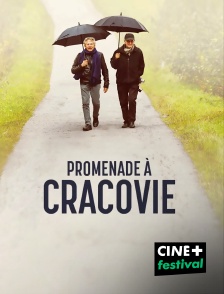 CINE+ Festival - Promenade à Cracovie