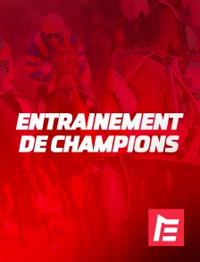 Equidia - Entrainement de champions