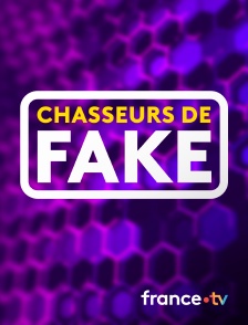 France.tv - Chasseurs de fake