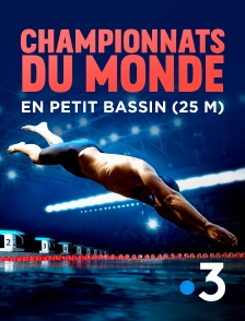 France 3 - Championnats du monde de natatation en petit bassin