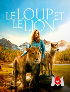 M6 - Le loup et le lion