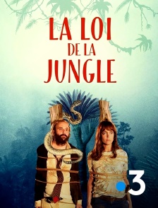 France 3 - La loi de la jungle