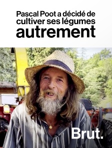 Brut - Pascal Poot a décidé de cultiver ses légumes autrement en replay