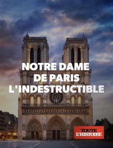 Toute l'Histoire - Notre Dame de Paris, l'indestructible