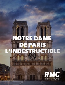 RMC Découverte - Notre Dame de Paris, l'indestructible