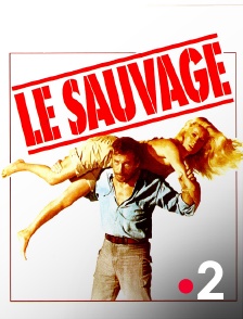 France 2 - Le sauvage