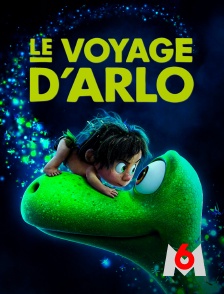 M6 - Le voyage d'Arlo