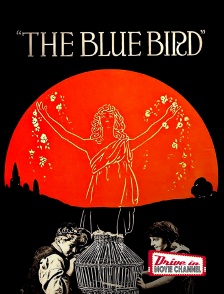 Drive-in Movie Channel - The Blue Bird