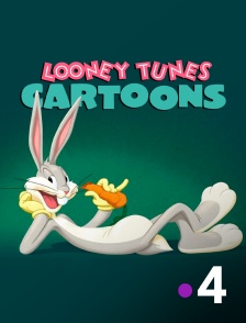 France 4 - Looney Tunes Cartoons