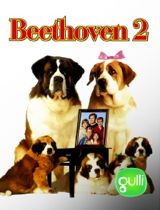 Gulli - Beethoven 2