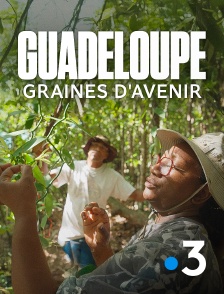 France 3 - Guadeloupe : graines d'avenir en replay