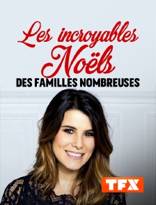 TFX - Les incroyables noëls des familles nombreuses