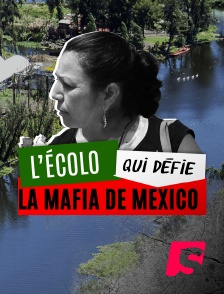 Spicee - L'écolo qui défie la mafia de Mexico