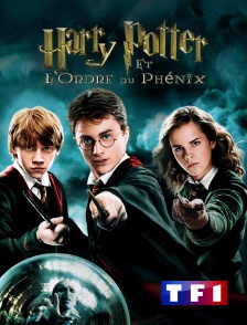 TF1 - Harry Potter et l'ordre du Phénix