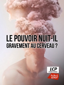 LCP Public Sénat - Le pouvoir nuit-il gravement au cerveau ?