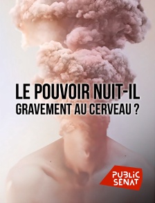 Public Sénat - Le pouvoir nuit-il gravement au cerveau ?