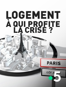 France 5 - Logement, à qui profite la crise ?