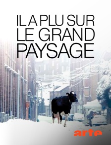 Arte - Il a plu sur le grand paysage