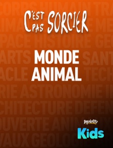 Molotov Channels Kids - C'est pas sorcier : Monde animal