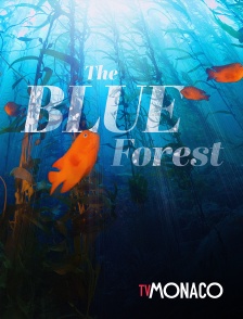 TV Monaco - The Blue Forest