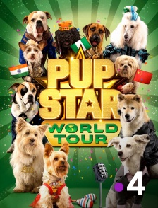 France 4 - Pup Star : Tournée mondiale