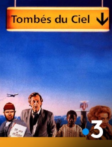 France 3 - Tombés du ciel