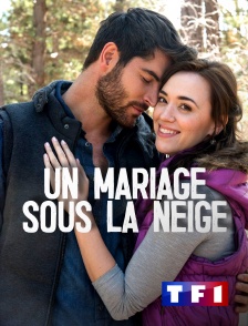 TF1 - Un mariage sous la neige