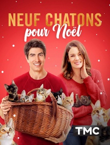 TMC - Neuf chatons pour Noël