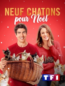 TF1 - Neuf chatons pour Noël