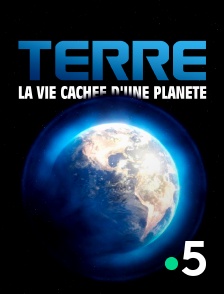 France 5 - Terre, la vie cachée d'une planète