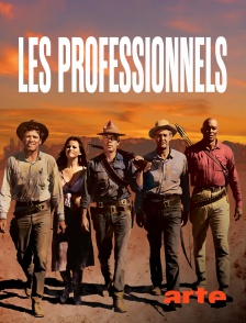 Arte - Les professionnels