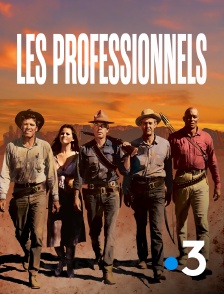 France 3 - Les professionnels