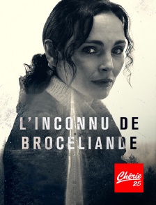 Chérie 25 - L'inconnu de Brocéliande