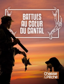 Chasse et pêche - Battues au coeur du Cantal