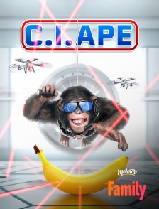 Molotov Channels Family - C.I.Ape