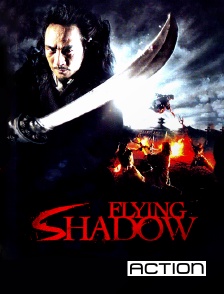 Action - Flying Shadow