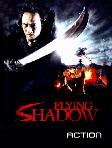 Action - Flying Shadow