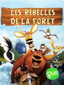 Gulli - Les rebelles de la forêt