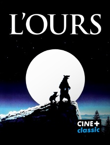 CINE+ Classic - L'ours