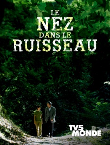 TV5MONDE - Le nez dans le ruisseau