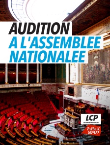 LCP Public Sénat - Audition à l'Assemblée nationale